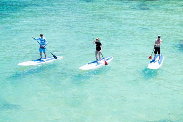 Paddleboard Rentals - Turtle Bay Resort