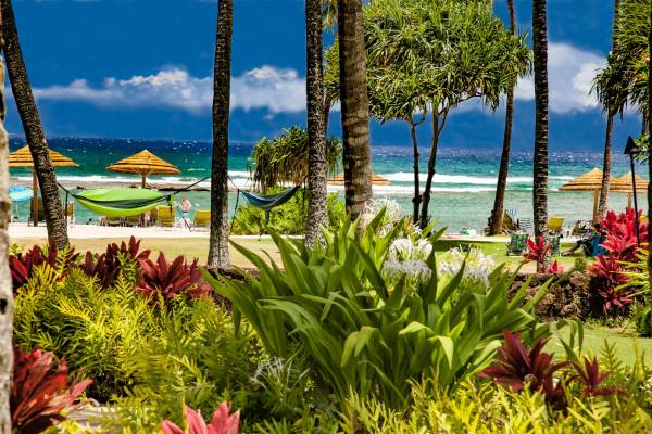 Beach Level Villas At Turtle Bay in Oahu
