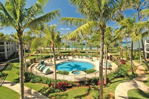 pool surrounded by palm trees 