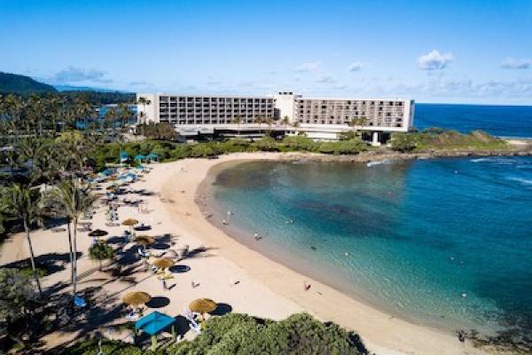 Oahu Beach Turtle Bay