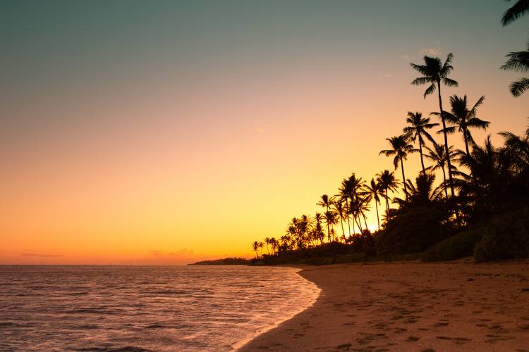 Oahu Sunset Cruise