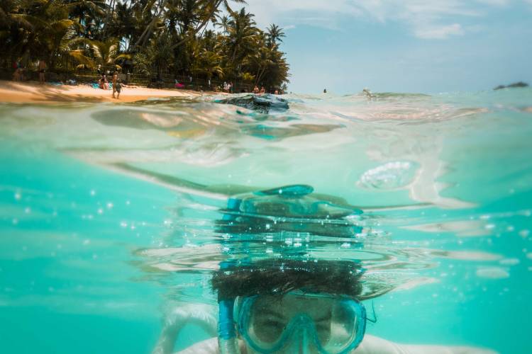 Snorkel Tours in Oahu