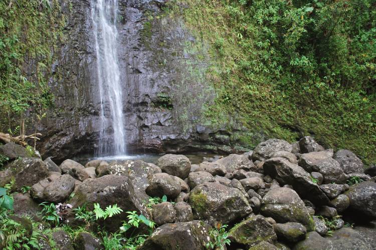 manoa falls oahu waterfalls