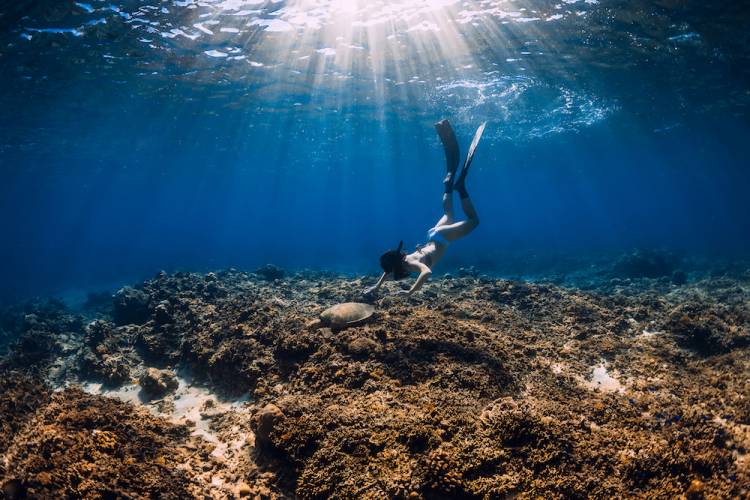snorkeling oahu
