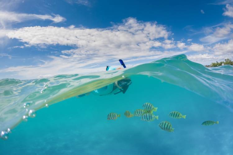 oahu snorkeling