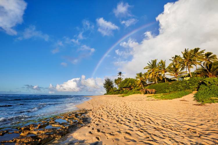 Oahu Spring Break