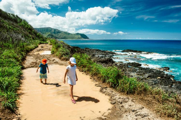 Oahu Hiking Trail