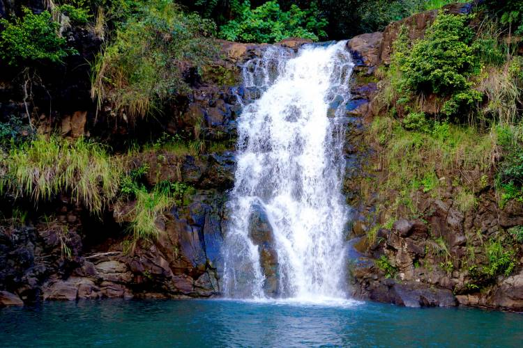 Waimea - Oahu North Shore