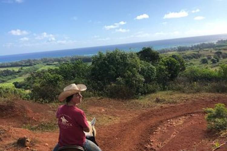 Horseback riding - North Shore Oahu