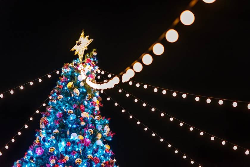 An illuminated Christmas tree in a public park