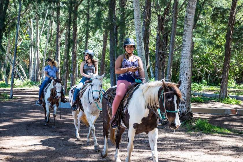 horseback riding turtle bay villas